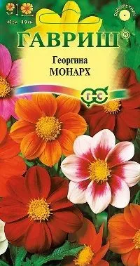 картинка Георгина Монарх (цветной пакет) 0,5г; Гавриш от магазина Флоранж