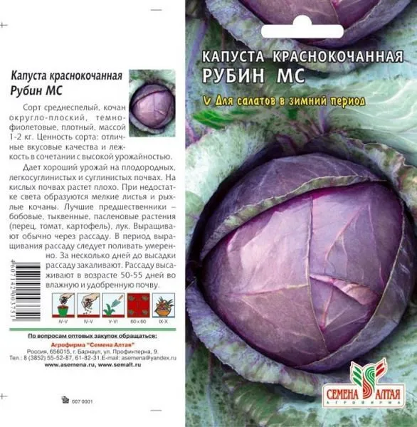 картинка Капуста краснокочанная Рубин МС (цветной пакет) 0,3г; Семена Алтая от магазина Флоранж