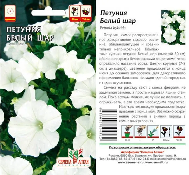 картинка Петуния Белый Шар (цветной пакет) 0,1г; Семена Алтая от магазина Флоранж
