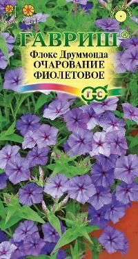 Флокс Очарование фиолетовое Друммонда (цветной пакет) 0,05г; Гавриш