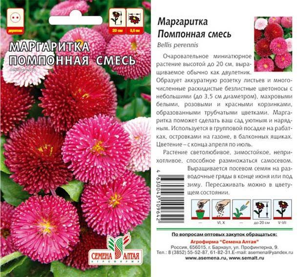 картинка Маргаритка Помпонная (цветной пакет) 0,05г; Семена Алтая от магазина Флоранж