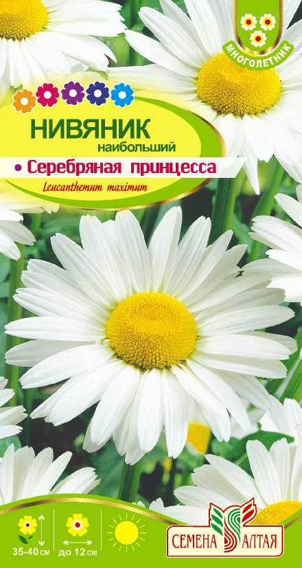 Нивяник Серебряная Принцесса (цветной пакет) 0,05г; Семена Алтая