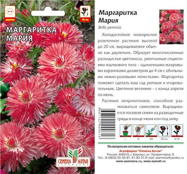 картинка Маргаритка Мария (цветной пакет) 0,05г; Семена Алтая от магазина Флоранж