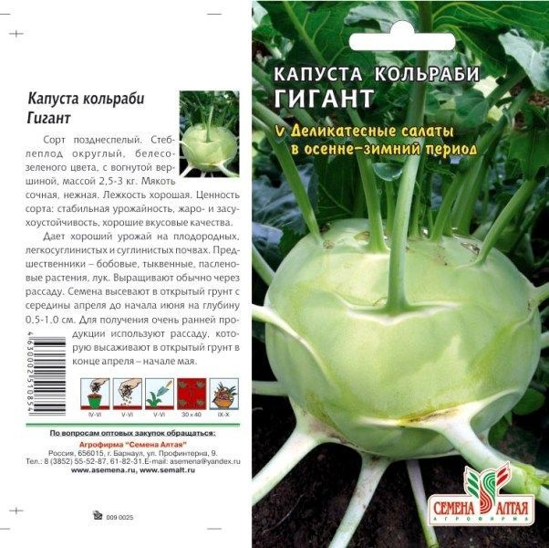 картинка Капуста кольраби Гигант (цветной пакет) 0,3г; Семена Алтая от магазина Флоранж