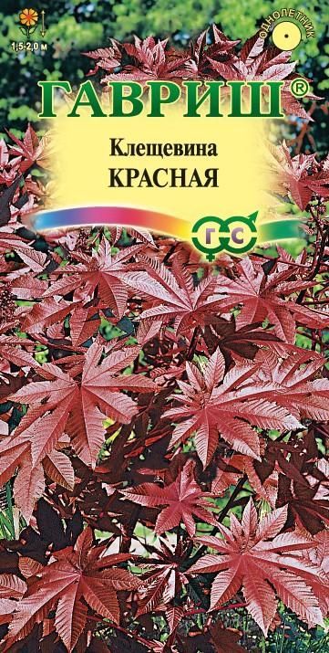 картинка Клещевина Красная (цветной пакет) 5шт; Гавриш от магазина Флоранж