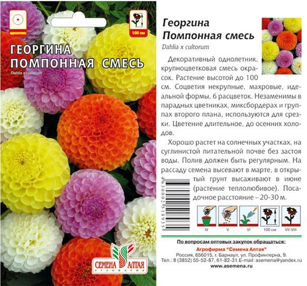 картинка Георгина Помпонная (цветной пакет) 0,2г; Семена Алтая от магазина Флоранж