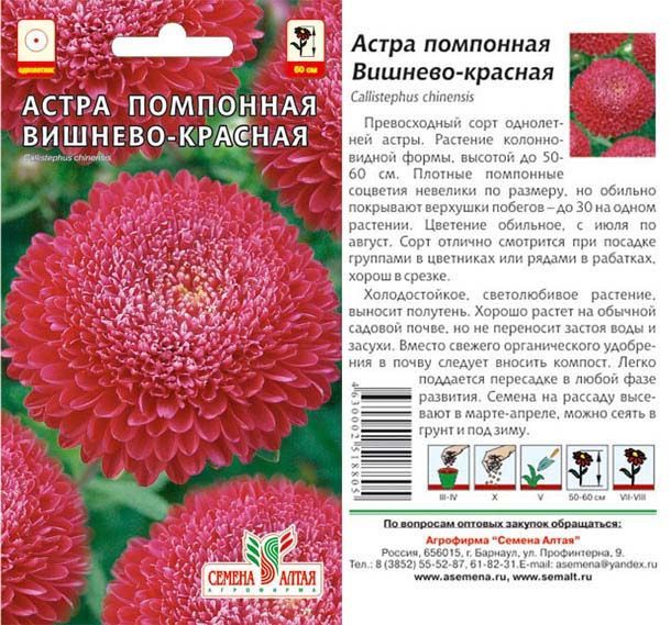 картинка Астра Помпонная Вишнево-Красная (цветной пакет) 0,2г; Семена Алтая от магазина Флоранж