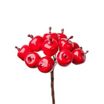 картинка Набор яблок на вставках 12шт., D2,5x3xL13см, красный от магазина Флоранж