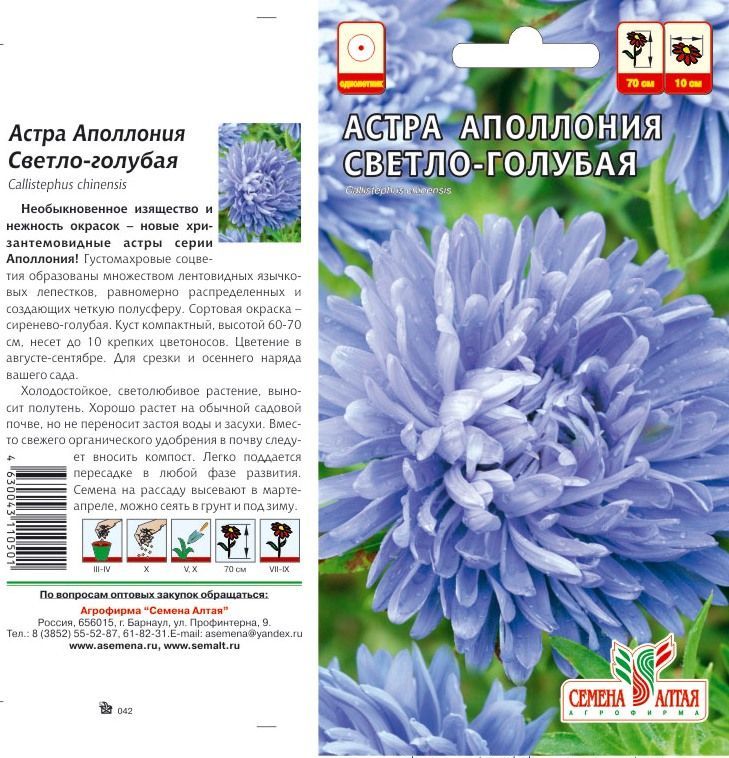 картинка Астра Аполлония (цветной пакет) 0,2г; светло-голубая,  Семена Алтая от магазина Флоранж