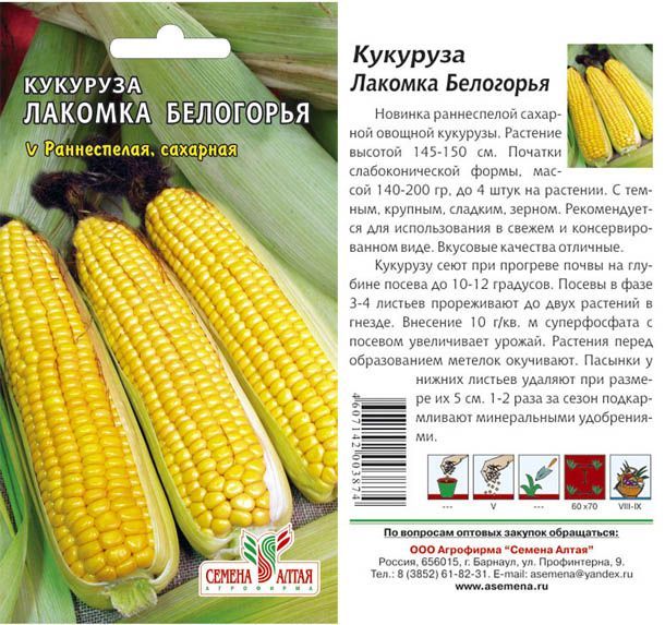 картинка Кукуруза Лакомка Белогорья (цветной пакет) 5г; Семена Алтая от магазина Флоранж