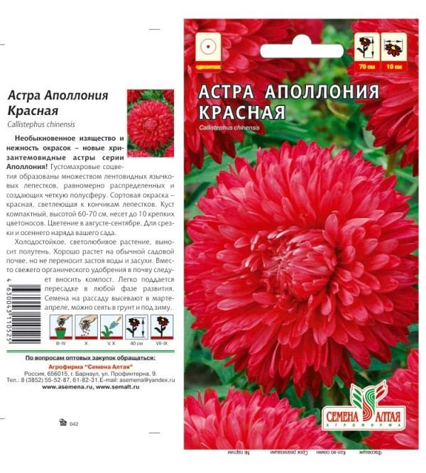 картинка Астра Аполлония (цветной пакет) 0,2г; красная, Семена Алтая от магазина Флоранж