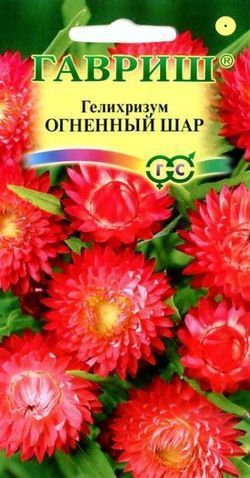 Гелихризум Огненный шар (цветной пакет) 0,1г; Гавриш