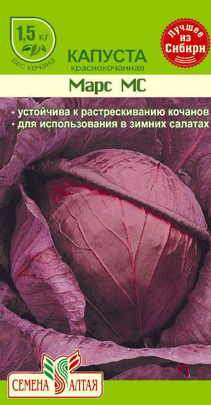 Капуста краснокочанная Марс МС (цветной пакет) 0,3г; Семена Алтая