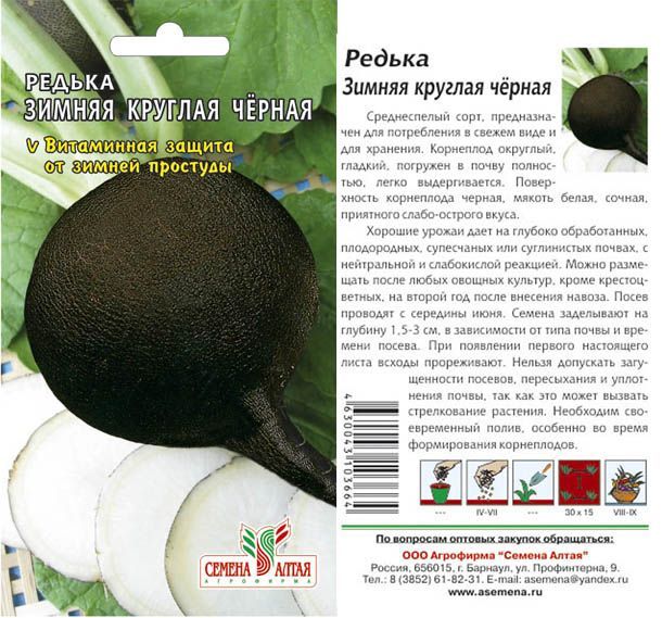 картинка Редька черная Зимняя круглая (цветной пакет) 1г; Семена Алтая от магазина Флоранж