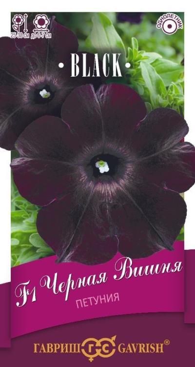 Петуния многоцветковая Черная вишня F1 (цветной пакет, пробирка) 4шт; Гавриш