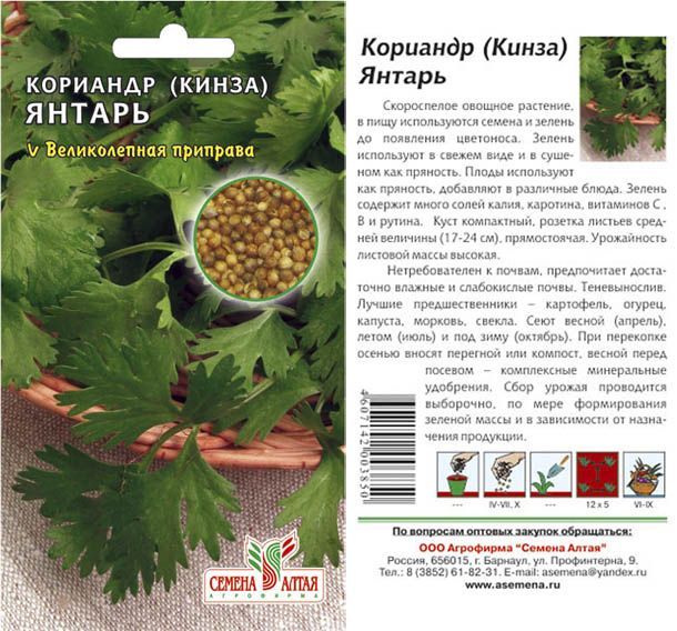 картинка Кориандр Янтарь (цветной пакет) 2г; Семена Алтая от магазина Флоранж
