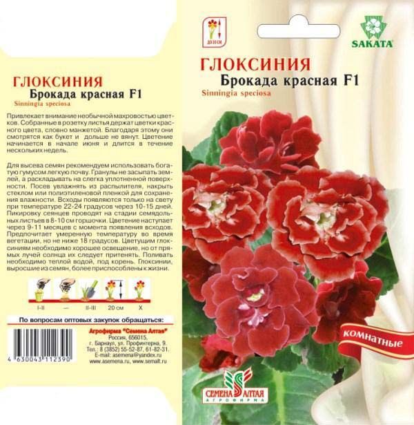 картинка Глоксиния Брокада Красная F1 (цветной пакет) 8шт; Семена Алтая от магазина Флоранж