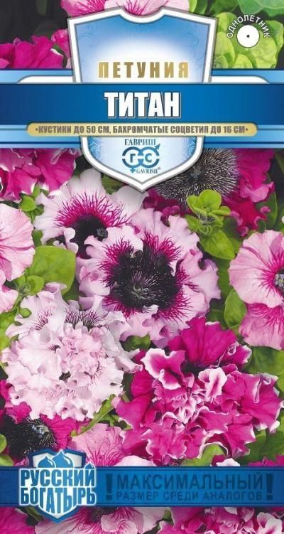 Петуния бахромчатая Титан смесь (цветной пакет, пробирка) 7шт; Гавриш
