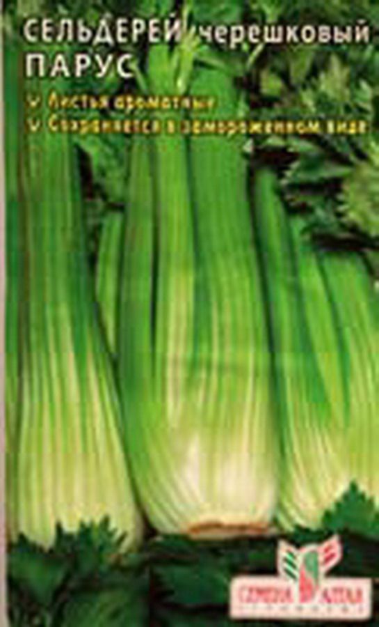 картинка Сельдерей черешковый Парус (цветной пакет) 0,5г; Семена Алтая от магазина Флоранж