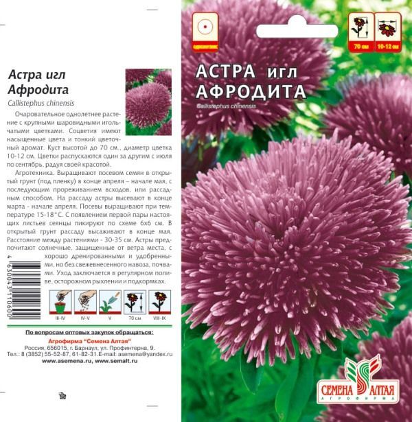 картинка Астра Афродита (цветной пакет) 0,2г; Семена Алтая от магазина Флоранж