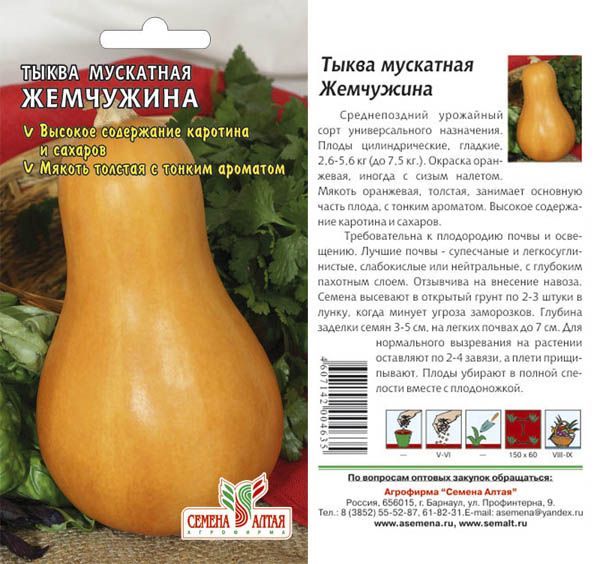 картинка Тыква Жемчужина Мускатная (цветной пакет) 1г; Семена Алтая от магазина Флоранж