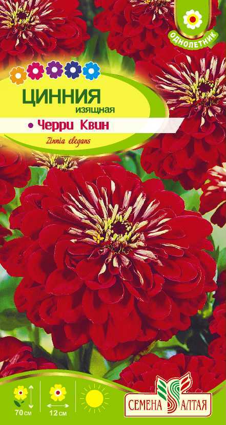 Цинния Черри Квин (цветной пакет) 0,2г; Семена Алтая