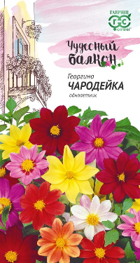 картинка Георгина Чародейка (цветной пакет) 0,3г; Гавриш от магазина Флоранж