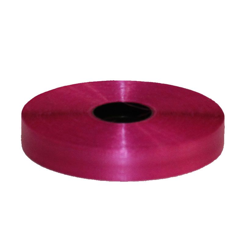 картинка Лента пластик, 2смх100м; Польша от магазина Флоранж