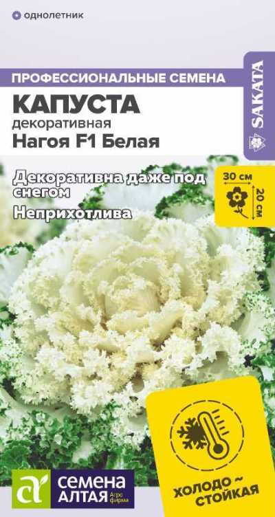 картинка Капуста Декоративная Нагоя F1 Белая (цветной пакет) 10шт; Семена Алтая от магазина Флоранж