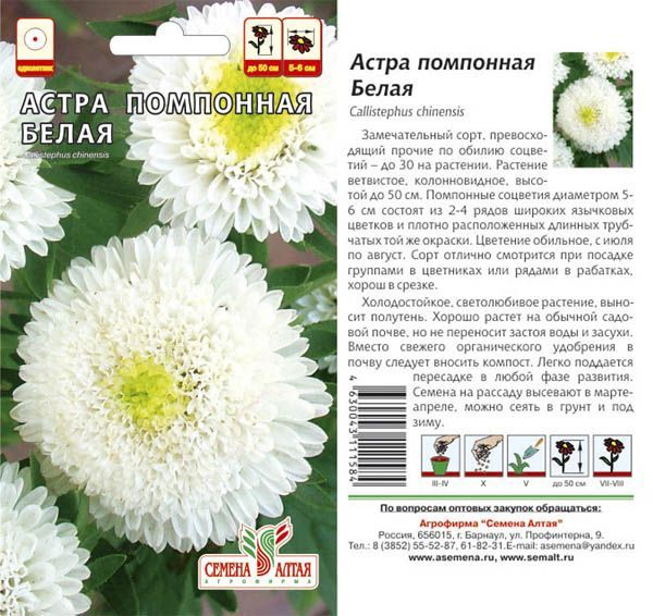 картинка Астра Помпонная Белая (цветной пакет) 0,2г; Семена Алтая от магазина Флоранж