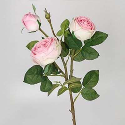 картинка Роза, 76 см, 3 бутона от магазина Флоранж