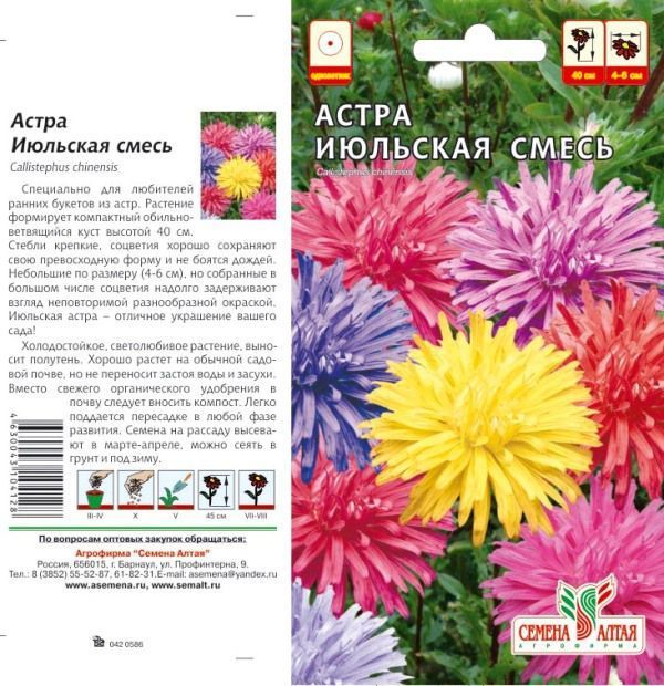 картинка Астра Июльская (цветной пакет) 0,2г; Семена Алтая от магазина Флоранж