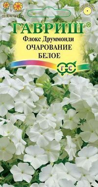 Флокс Очарование белое Друммонда (цветной пакет) 0,05г; Гавриш