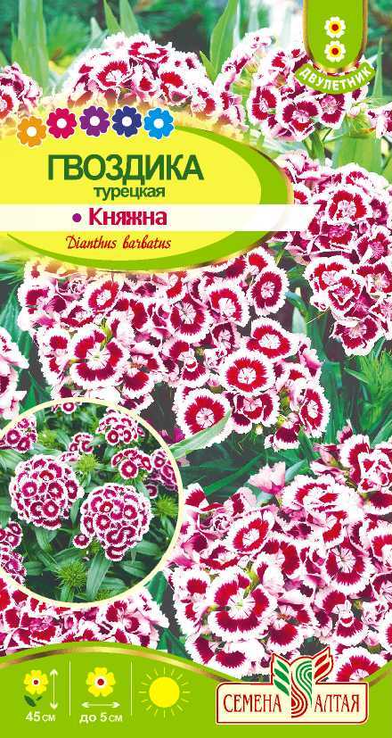 картинка Гвоздика турецкая Княжна (цветной пакет) 0,2г; Семена Алтая от магазина Флоранж