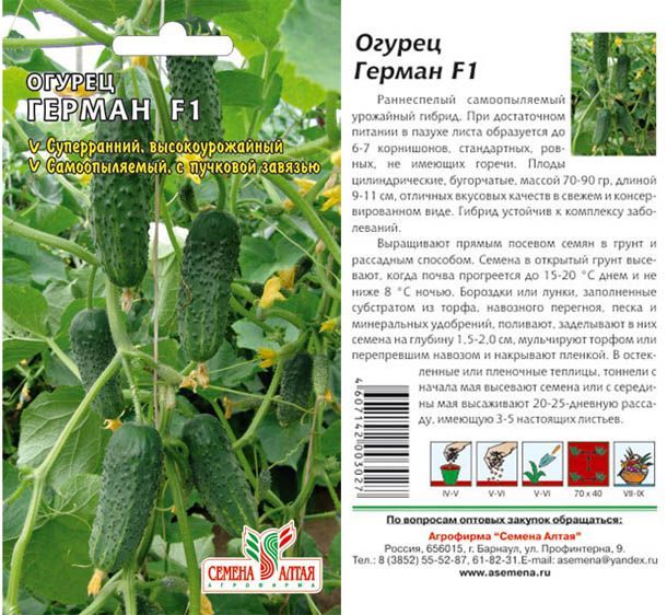 картинка Огурец Герман (цветной пакет) 5шт; Семена Алтая от магазина Флоранж