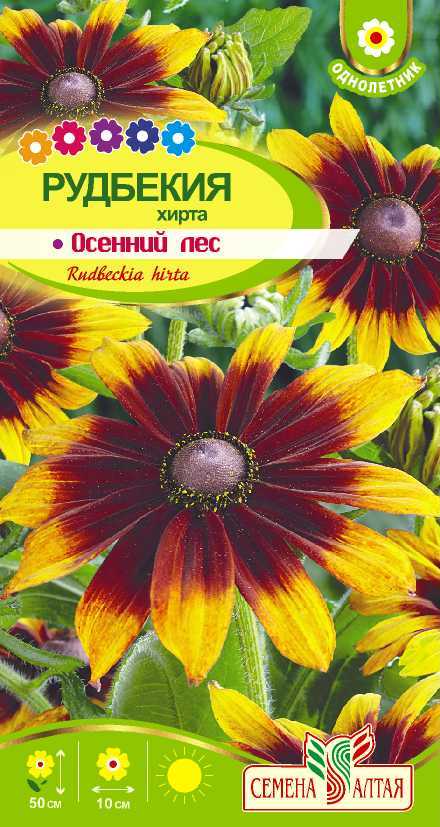 картинка Рудбекия хирта Осенний Лес (цветной пакет) 0,2г; Семена Алтая от магазина Флоранж