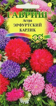 Астра Эрфуртский карлик Смесь (цветной пакет) 0,3г; Гавриш