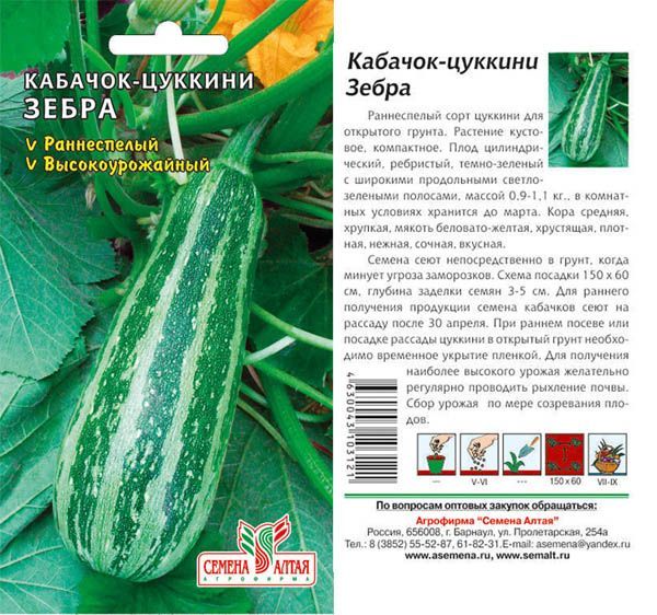 картинка Кабачок Зебра (цветной пакет) 2г; Семена Алтая от магазина Флоранж