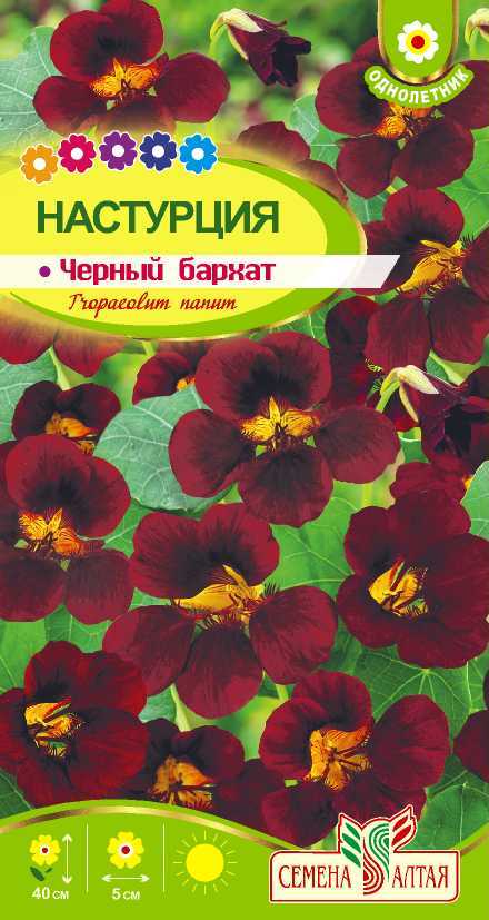 Настурция Черный бархат (цветной пакет) 0,5г; Семена Алтая