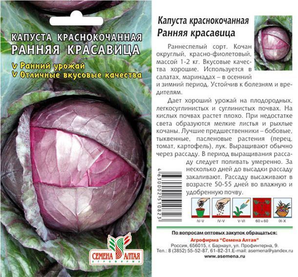 картинка Капуста краснокочанная Ранняя Красавица (цветной пакет) 0,3г; Семена Алтая от магазина Флоранж