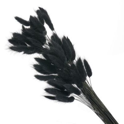 картинка Лагурус цветной, 60шт в уп, черный от магазина Флоранж