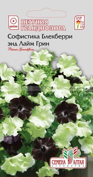 Петуния Софистика Блекберри (цветной пакет) 6шт; Семена Алтая