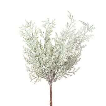 Ветки Туи на вставке 6шт., 24см