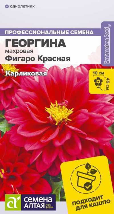 картинка Георгина Фигаро Красная (цветной пакет) 5шт; Семена Алтая от магазина Флоранж
