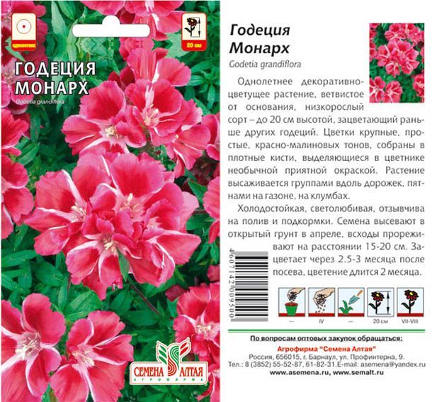 картинка Годеция Монарх (цветной пакет) 0,2г; Семена Алтая от магазина Флоранж