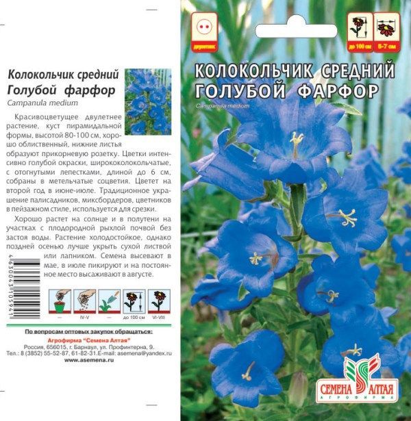 картинка Колокольчик средний Голубой Фарфор (цветной пакет) 0,1г; Семена Алтая от магазина Флоранж