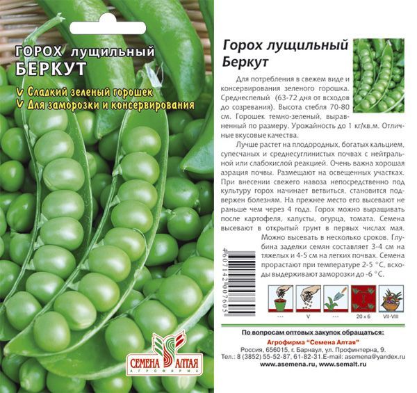 картинка Горох Беркут (цветной пакет) 10г; Семена Алтая от магазина Флоранж
