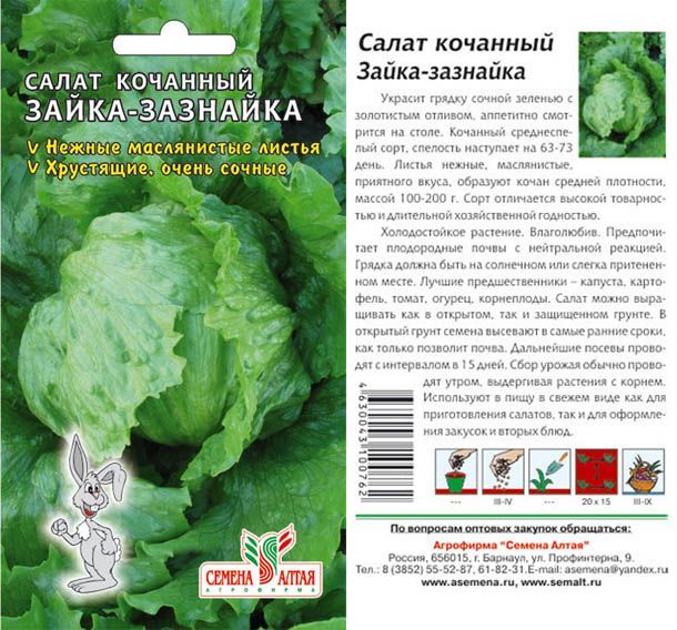 картинка Салат Зайка-Зазнайка (цветной пакет) 1г; Семена Алтая от магазина Флоранж