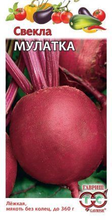 картинка Свекла Мулатка (цветной пакет) 2г; Гавриш от магазина Флоранж