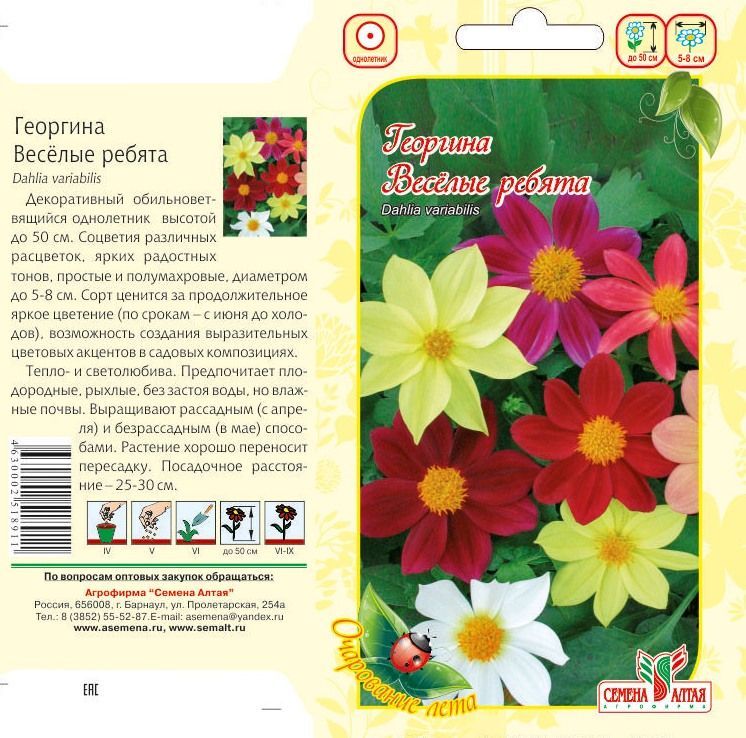 картинка Георгина Веселые Ребята (цветной пакет) 0,2г; Семена Алтая от магазина Флоранж